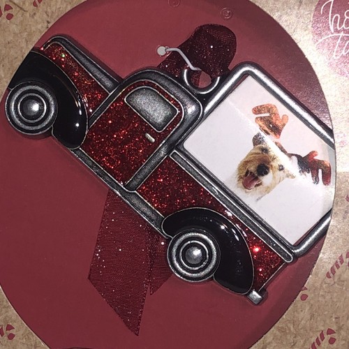 Christmas pet ornament red - christmas,